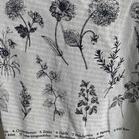 Forever21 Light Sage Green Long-Sleeved Croppy Toppy - Picture 3 of 4